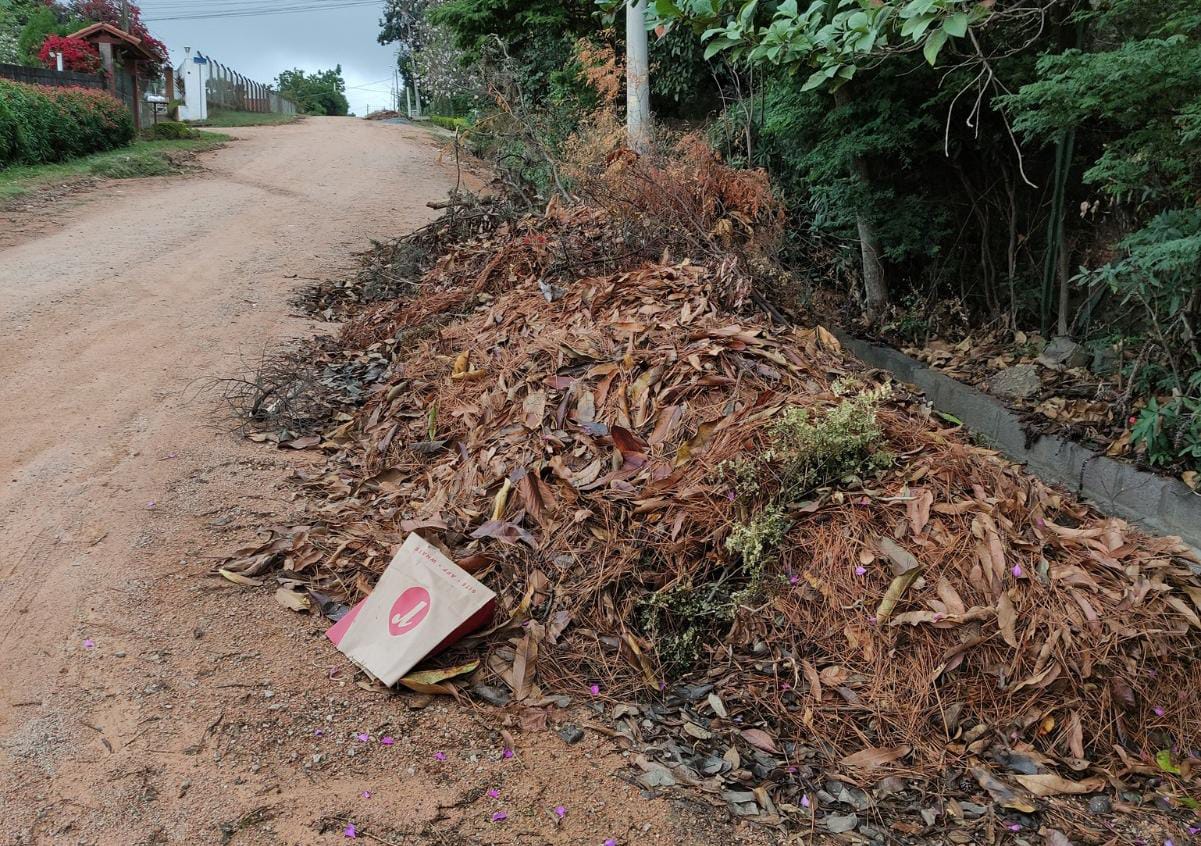 Morador questiona fala de Cavalin sobre a cidade estar mais limpa